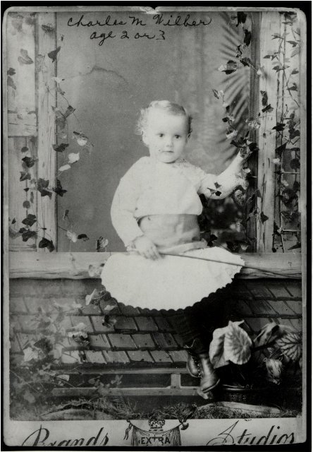 Wilber Republican 01 (18), Charles M. Wilber, age 2 or 3